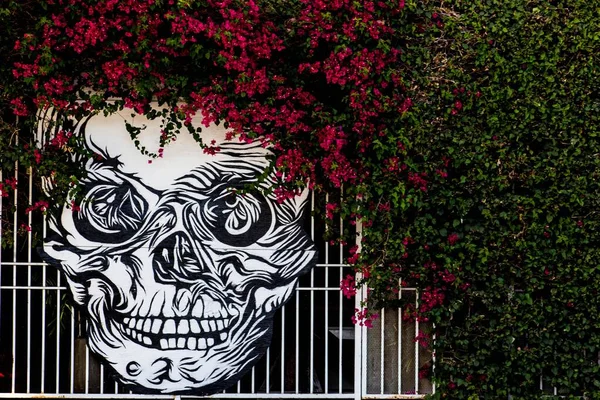 Skull Fence Flowers Top Side — Stock Photo, Image