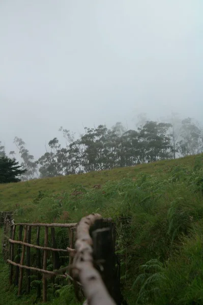 霧の日に緑の野に対する木製の柵の垂直ショット — ストック写真
