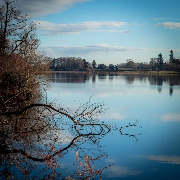 水の中の木の反射と明確な穏やかな湖 — ストック写真