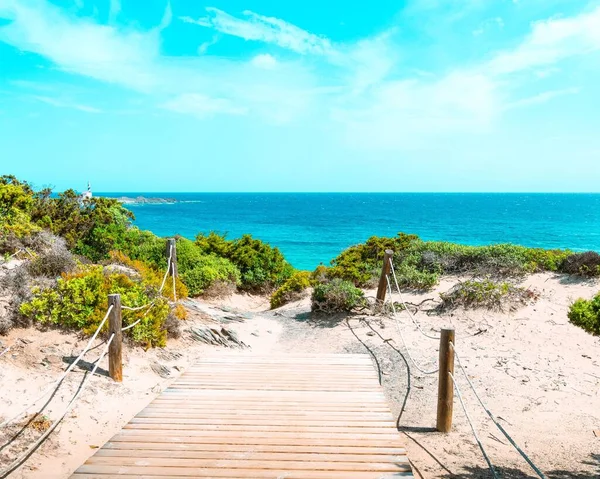 Sendero Madera Que Conduce Playa Tropical Bajo Cielo Azul Vibrante — Foto de Stock