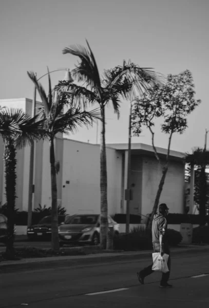 Man Jay Bell Şehrinde Atlantik Yürüyerek Geçiyor Arka Planda Palmiye — Stok fotoğraf