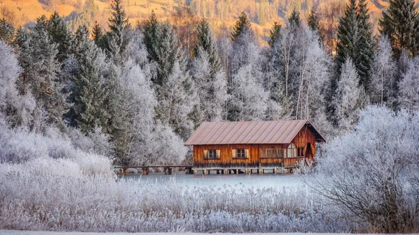 Een Houten Huis Midden Een Winterbos — Stockfoto