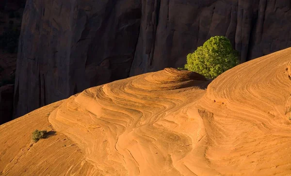 Samotność Czerwonych Skałach Kraj Monument Valley Navajo Tribal Park — Zdjęcie stockowe