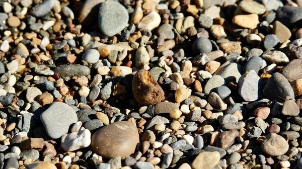 海滩上的小岩石的特写镜头 — 图库照片
