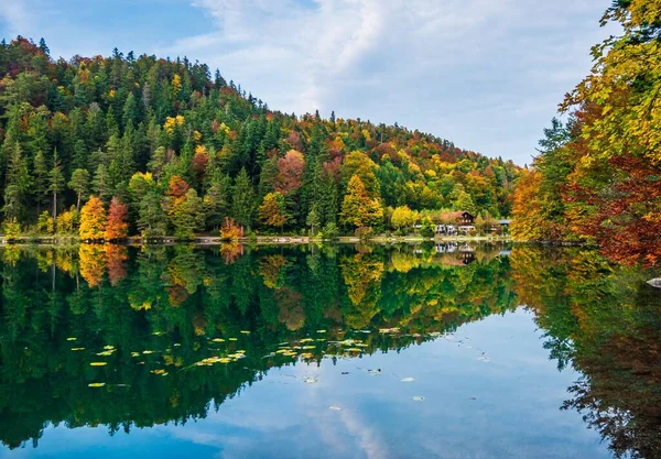 Чистое Спокойное Озеро Отражением Деревьев Воде — стоковое фото