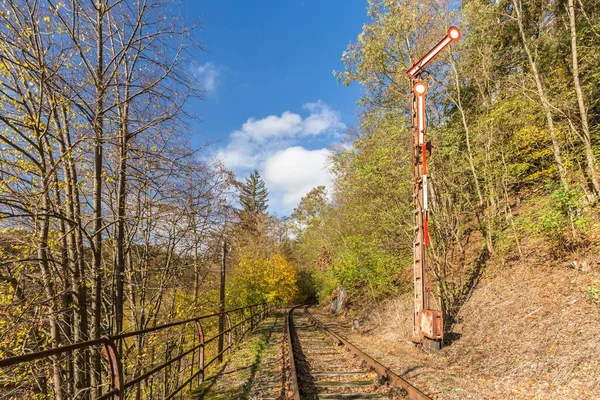 秋天森林中的旧铁轨景观 — 图库照片