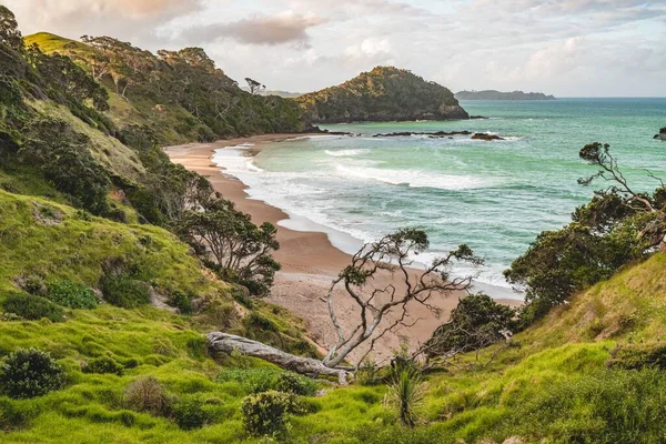 緑に覆われた島の海岸に打ち寄せる波のドローンショット — ストック写真