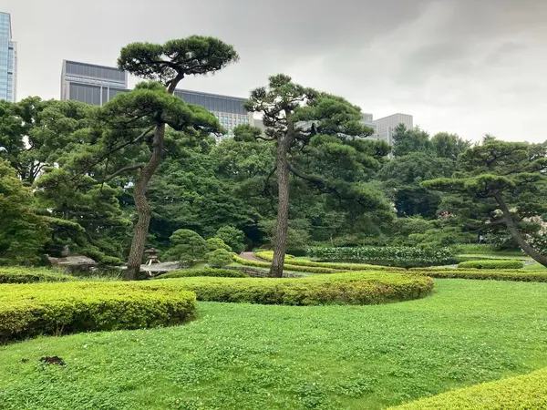 日本の緑豊かな公園の美しいショット — ストック写真