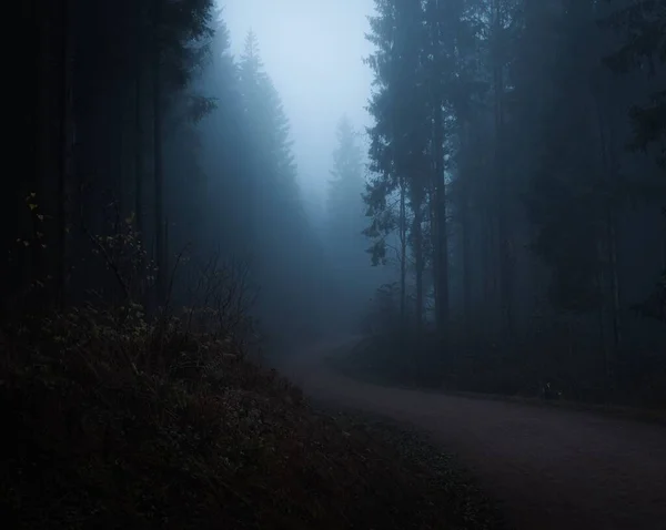 美丽的小径穿过一片漆黑的雾气密布的森林 — 图库照片