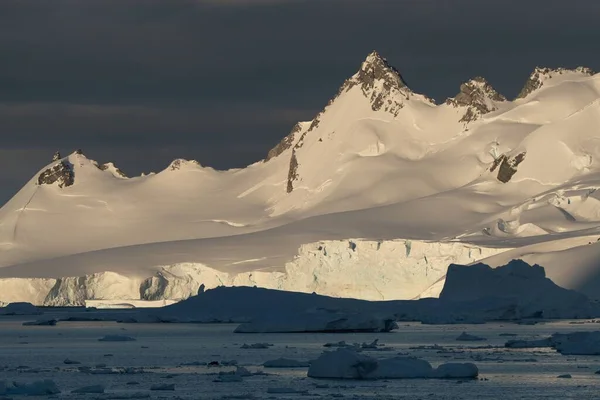 Вид Воздуха Море Заснеженным Пляжем Антарктиде — стоковое фото
