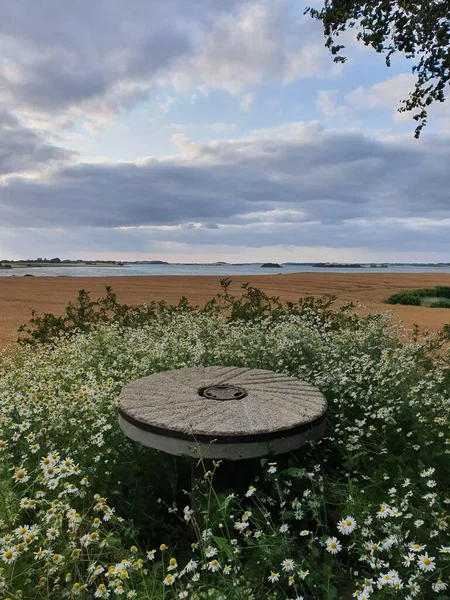 Schöner Blick Auf Einen Holztisch Kamillenfeld Mit Einem See Hintergrund — Stockfoto