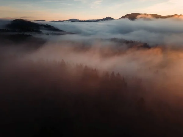 Una Panoramica Veduta Aerea Delle Foreste Delle Montagne Una Giornata — Foto Stock