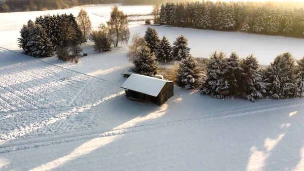 Tiro Avión Tripulado Una Casa Rural Madera Con Árboles Nevados —  Fotos de Stock