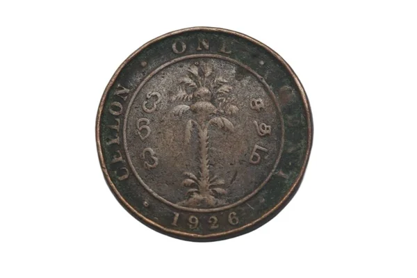从背面看 1926年制造的斯里兰卡分币或锡隆尼亚分币的特写镜头 背景为白色 — 图库照片