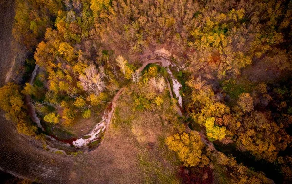 Flygbild Lockig Väg Mellan Fallande Träd Skog — Stockfoto