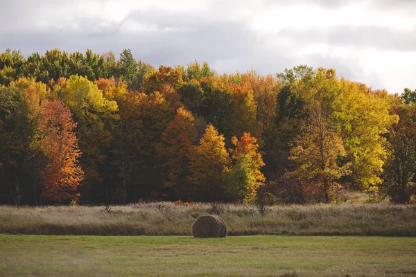 在加拿大安大略省的一个秋天的牧场上 一张漂亮的干草包照片 — 图库照片