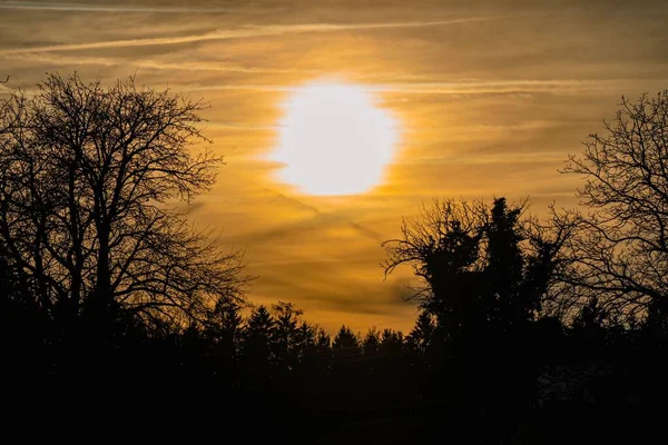 Jasny Złoty Zachód Słońca Świecący Niebie Nad Sylwetkami Drzew — Zdjęcie stockowe