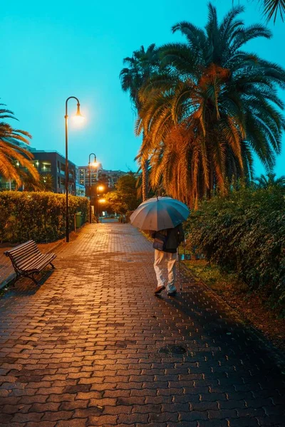 葡萄牙马德拉岛 一个手持雨伞的人深夜在街上散步的垂直镜头 — 图库照片