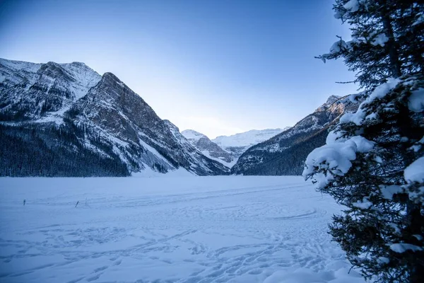 Охолоджуючий Вид Засніжене Поле Гірському Пейзажному Фоні — стокове фото