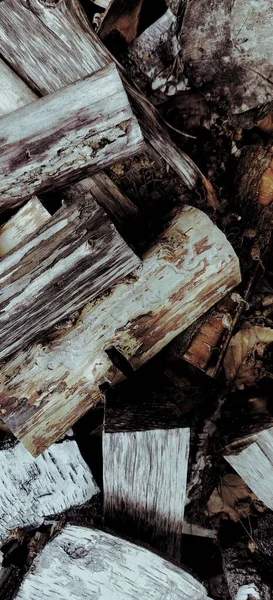 Vertical Background Cut Wood Logs — Stock Photo, Image