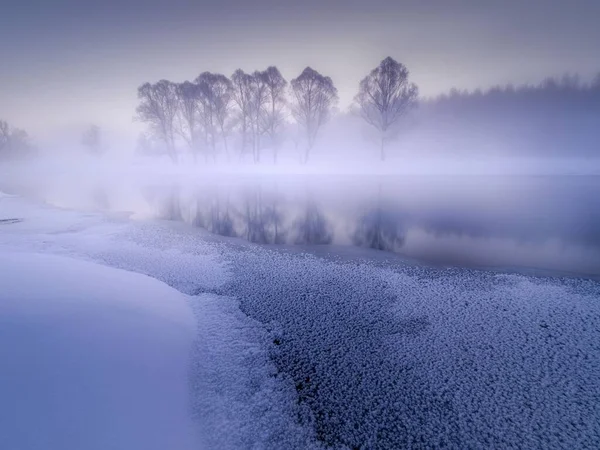 Beautiful Shot Frozen River Trees Foggy Forest Mongolia — Stock Photo, Image