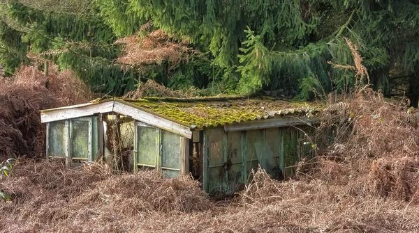 Old Abandoned Building Woods — Stock Photo, Image