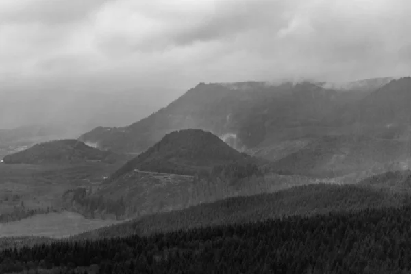 美国圣海伦火山纪念地的一片灰蒙蒙的山脉和森林 — 图库照片