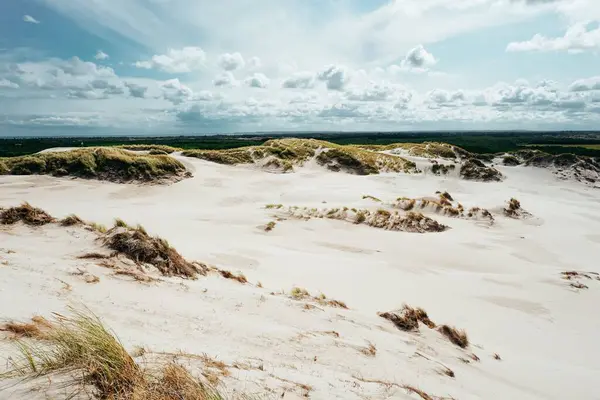 stock image A landscape of a sandy beach covered in the grass under a blue cloudy sky and sunlight