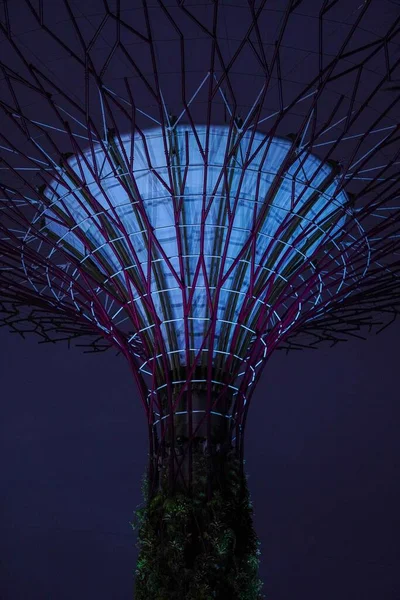 Una Vista Construcción Árboles Jardines Junto Bahía Singapur —  Fotos de Stock
