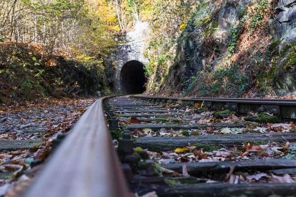 Μια Άποψη Των Παλαιών Σιδηροδρομικών Γραμμών Στο Δάσος Φθινόπωρο — Φωτογραφία Αρχείου