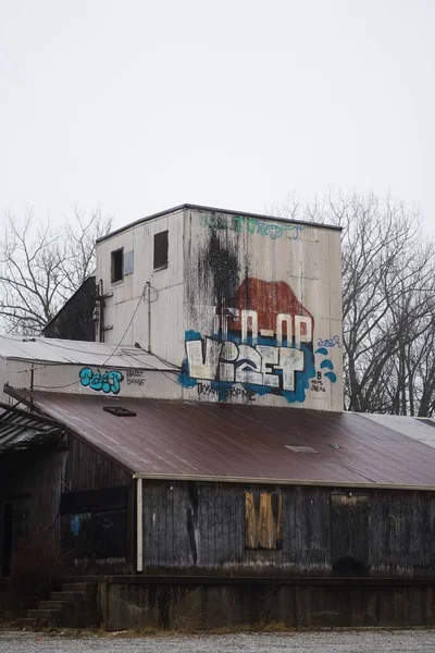 Vertikální Záběr Opuštěné Kooperativní Budovy Graffiti Indianapolis Zimě — Stock fotografie