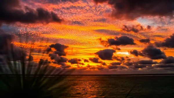 Pintoresco Cielo Atardecer Con Nubes Esponjosas Sobre Océano Tranquilo —  Fotos de Stock
