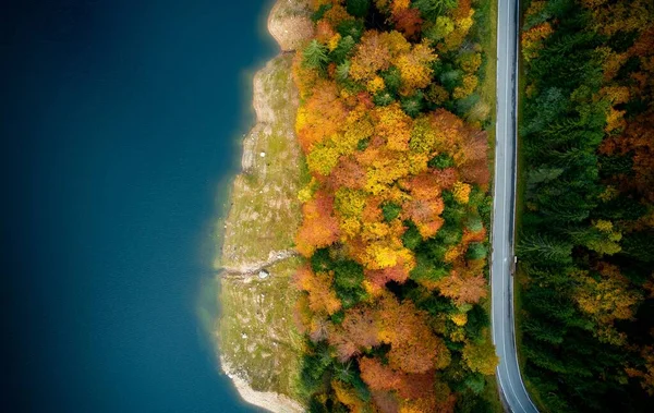 Romanya 'da deniz kenarındaki düşen ağaçlar arasında Transfagarasan karayolu üzerinde bir hava manzarası