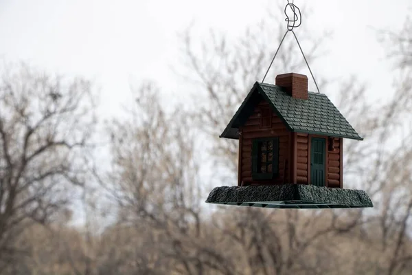 背景がぼやけている小さな鳥の家の閉鎖 — ストック写真