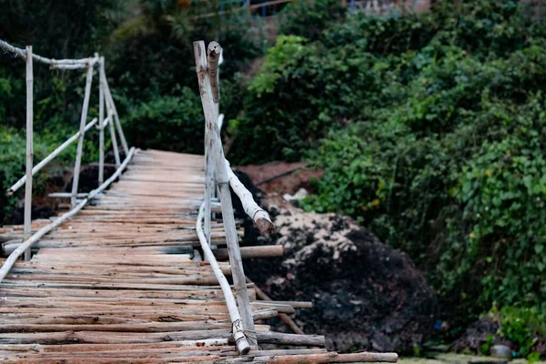 Ormanda Ahşap Bir Köprü — Stok fotoğraf