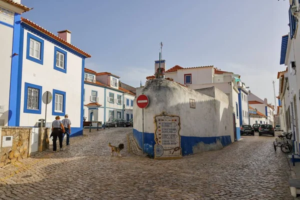 Uitzicht Historische Gebouwen Door Straten Van Het Dorp Ericeira Portugal — Stockfoto