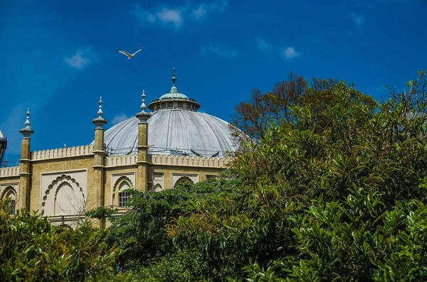 Vzdušný Výhled Kopuli Muzea Brighton Královských Pavilonech — Stock fotografie