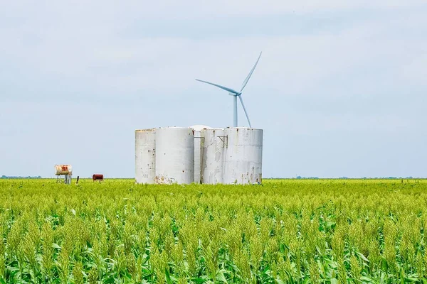 Malownicze Ujęcie Turbin Wiatrowych Zbiorników Farmie Pszenicy — Zdjęcie stockowe