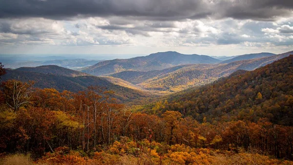 Uma Foto Panorâmica Uma Floresta Queda Contra Fundo Das Montanhas — Fotografia de Stock