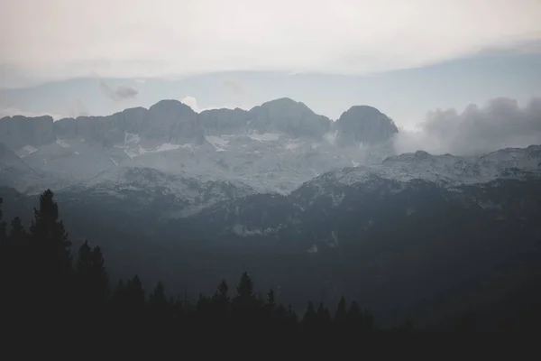 Живописный Пейзаж Горных Лесов Туманный День Дневное Время — стоковое фото