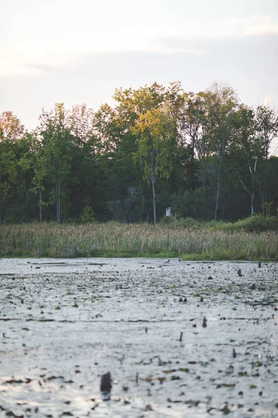 Kanada 'nın Ontario kentindeki Frink Koruma Alanındaki bataklık üzerinde günbatımı görüntüsü.