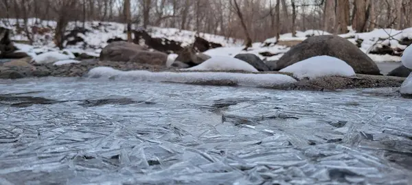 Widok Zamarzniętej Rzeki Lesie Podczas Zimy — Zdjęcie stockowe