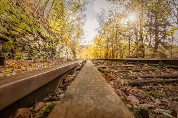 Μια Άποψη Των Παλαιών Σιδηροδρομικών Γραμμών Στο Δάσος Φθινόπωρο — Φωτογραφία Αρχείου