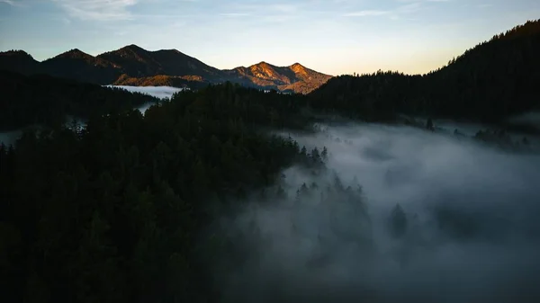 Живописный Вид Воздуха Форсты Горы Туманный День Городе Мариазелль Австрия — стоковое фото