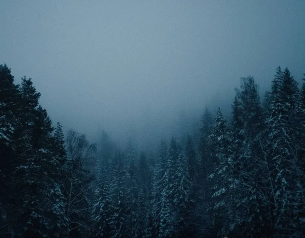 Schöne Aufnahme Eines Wolkenverhangenen Nebelhimmels Über Einem Wald Mit Dunklen — Stockfoto