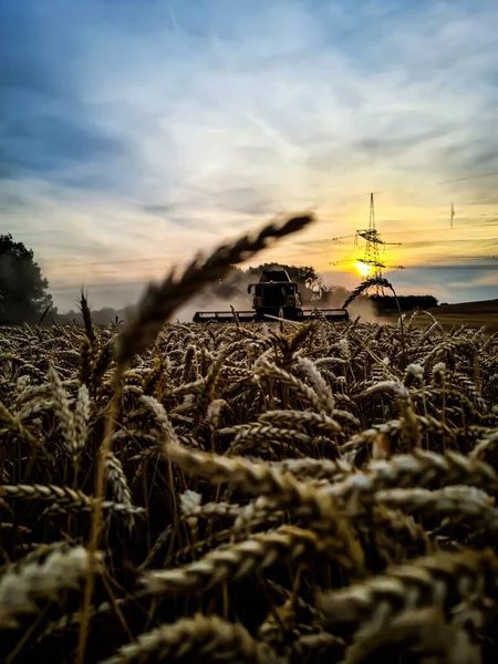 Ein Selektiver Fokus Eines Traktors Beim Anbau Eines Weizenfeldes Bei — Stockfoto