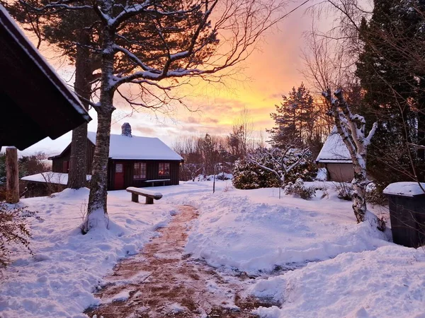 Prázdná Zasněžená Stezka Při Západu Slunce Norsko — Stock fotografie