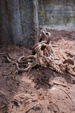 Shaldon, Devon 'da demirleme halkasının etrafına bağlanmış eski bir halatın dikey görüntüsü.