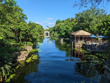 Güneşli bir günde yeşil ağaçlarla çevrili bir nehir.