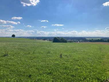 Güneşli bir günde, geniş bir çim tarlasının güzel manzarası.
